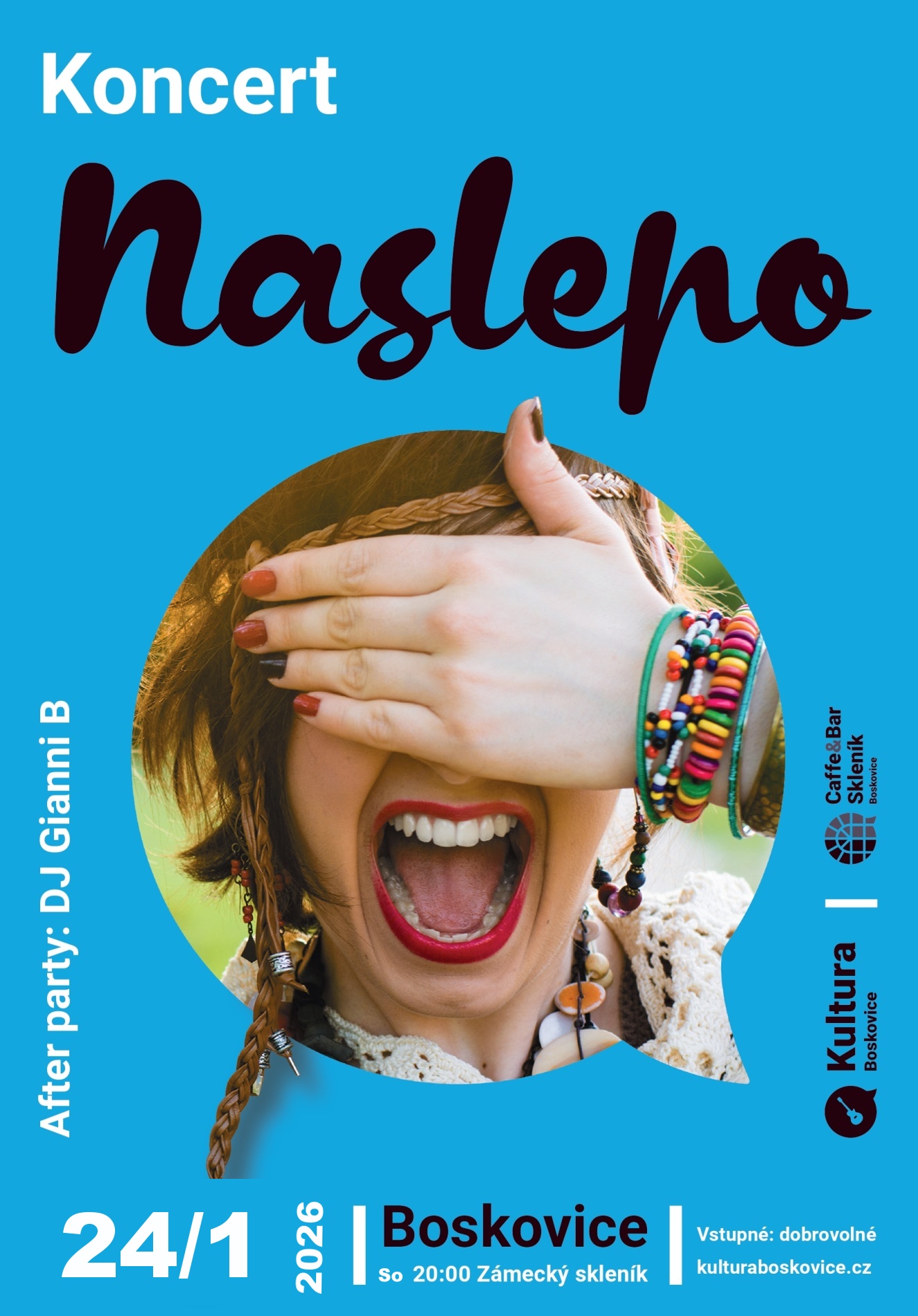 Koncert naslepo